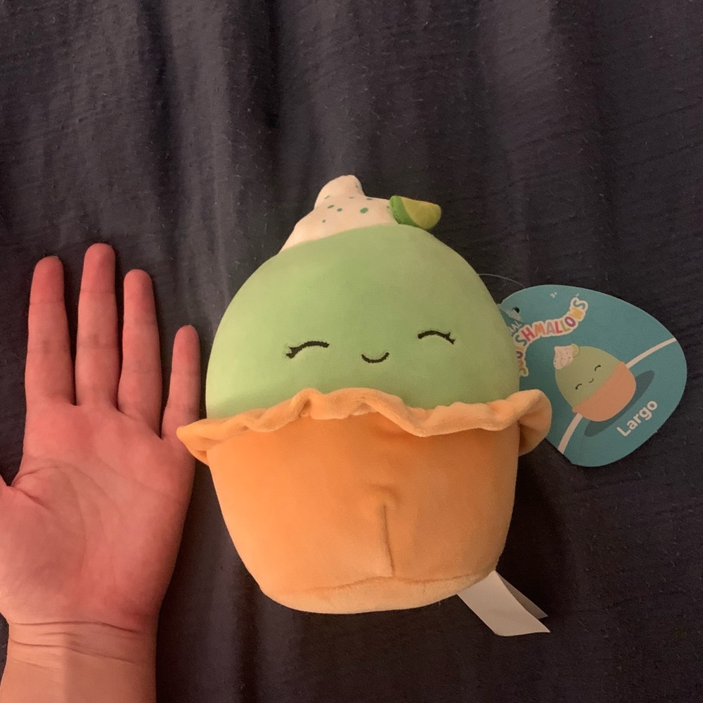 5 inch Squishmallow Largo - New with tags and super cute :)